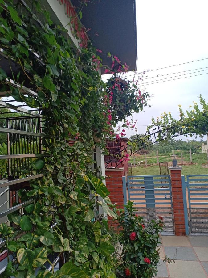 Mango Tree Homestay Hampi Esterno foto