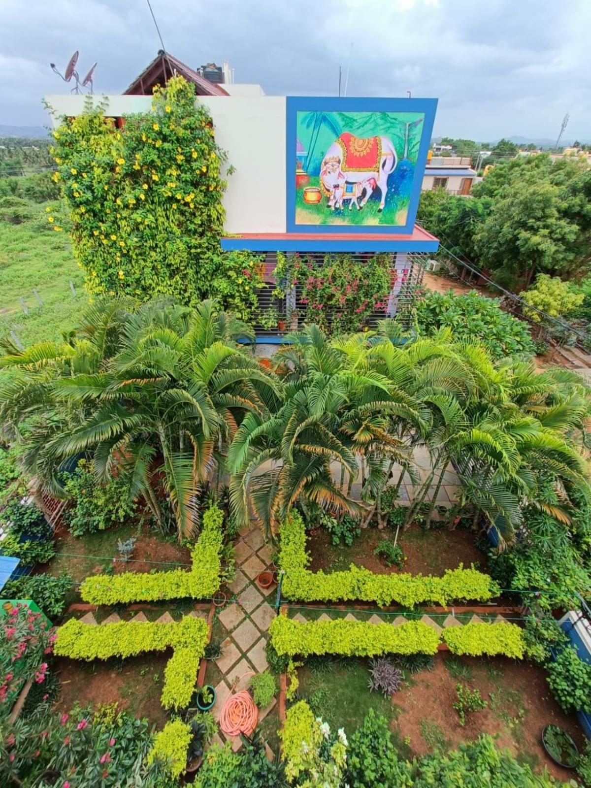 Mango Tree Homestay Hampi Esterno foto